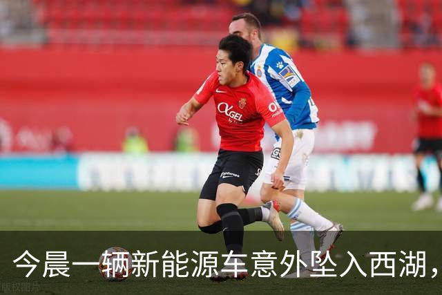 今晨一辆新能源车意外坠入西湖，男女乘客平安脱困