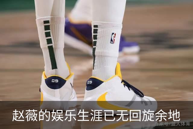 赵薇的娱乐生涯已无回旋余地